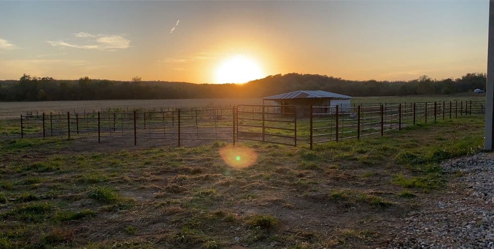 Gallery photos for Livestock Panel Corral and Pen System Built in Troy MO: Image #4
